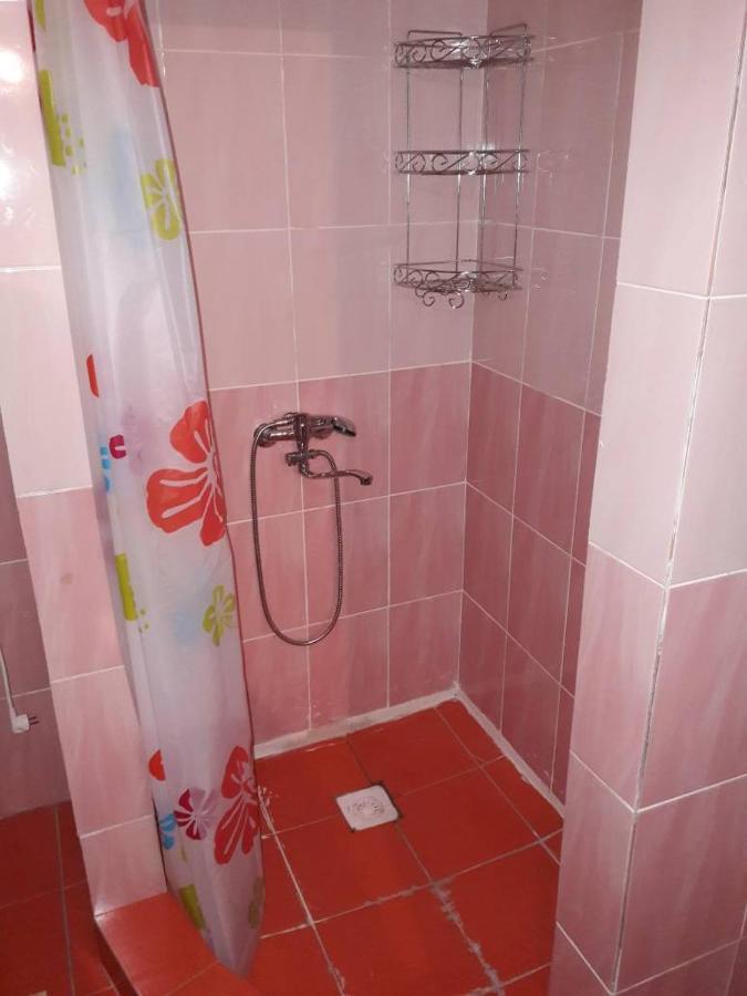 Kyzart Guesthouse Bagysh Экстерьер фото